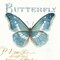 My Greenhouse Butterflies II Poster Print by Audit Lisa - Item # VARPDX20407